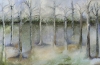 Breath of Nature