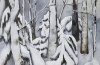 Deep Snow