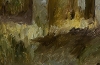 Detail~Birch Forest~Autumn