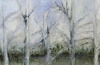 Detail~Breath of Nature