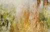 Detail~Illuminated Forest