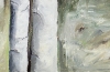 Detail~Through the Aspens~Spring