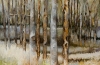 Illuminated Forest