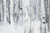 Winter White