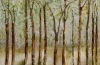 Breath of Spring