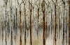 Breath of the Forest